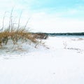 Sand dunes by the ocean white shore beach