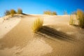 Sand Dunes, Oregon Beach, West Coast Nature and Landscape Royalty Free Stock Photo