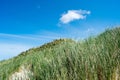 Sand Dunes, Oregon Beach, West Coast Nature and Landscape Royalty Free Stock Photo