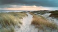 Sand dunes and a path leading to the sea. Empty sandy beach with wild grass growing on dunes. Stormy sky. Generative AI Royalty Free Stock Photo