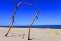 Panoramic landscape view of sand dunes and beach along the Baltic Sea shore line near Gdansk in Poland