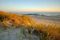 Dunes on the coast of the Baltic Sea, sunrise on the beach on a summer day. Royalty Free Stock Photo