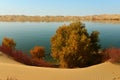 The Sand dunes and populus euphratica in the lake