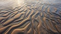 Ephemeral Dune Patterns: Organic Forms On Salt Sand With Sun