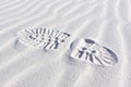 Sand Dunes ripples bootprint