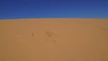 Sand dunes with sand ripples and clear blue sky. Travel background with sand meets sky Royalty Free Stock Photo