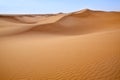 Sand dunes in Sahara.