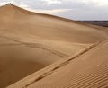 Sand dunes of the Sahara desert Royalty Free Stock Photo