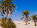 Sand dunes in the sahara desert near Douz Tunisia Africa Royalty Free Stock Photo