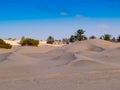 Sand dunes in the sahara desert near Douz Tunisia Africa Royalty Free Stock Photo