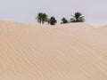 Sand dunes in the sahara desert near Douz Tunisia Africa Royalty Free Stock Photo