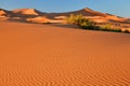 Sand dunes in the Sahara Desert, Morocco Royalty Free Stock Photo