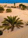 Sand dunes in the sahara desert near Douz Tunisia Africa Royalty Free Stock Photo