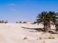 Sand dunes in the sahara desert near Douz Tunisia Africa Royalty Free Stock Photo