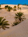 Sand dunes in the sahara desert near Douz Tunisia Africa Royalty Free Stock Photo
