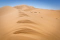 Sand dunes of Sahara