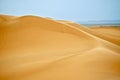 Sand dunes in Sahara desert