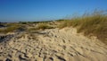 sand dunes of sao jacinto beach near aveiro