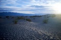 Sand dunes and scrub in Death Valley National Park Royalty Free Stock Photo