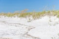 Sand Dunes at Topsail Beach, North Carolina Royalty Free Stock Photo