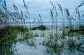 Sand Dunes and Sea Oats on Amelia Island Royalty Free Stock Photo