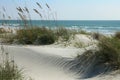 Sand dunes and sea oats with ocean and sky Royalty Free Stock Photo