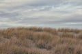 Sand dunes and sky at night Royalty Free Stock Photo