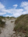 Coastal Sand Dunes