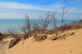 Sand dunes with sparse drought tolerant vegetation. Indiana Dunes National Lakeshore, USA Royalty Free Stock Photo