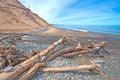 Sand Dunes Stream and Logs on a Lakeshore