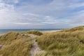 Sand dunes on a summer day