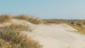 Sand dunes on a sunny day on Jekyll Island, Georgia