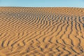 Sand dunes at sunset along the western coast of the Baja peninsula