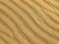 The sand dunes during sunset as a background. Summer composition in the desert. Royalty Free Stock Photo