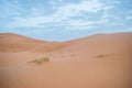 Sand dunes during sunset in Erg Chebbi desert, near Merzouga, Sahara Desert, in Morocco. Royalty Free Stock Photo