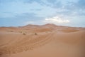 Sand dunes during sunset in Erg Chebbi desert, near Merzouga, Sahara Desert, in Morocco. Royalty Free Stock Photo