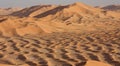 Sand Dunes at Sunset#4: Mounds of Golden Sand