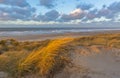 Sand Dunes at Sunset, Ostend, Belgium