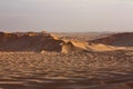 Sand Dunes at Sunset#5: Sea of Golden Sand