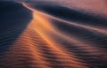 The sand dunes during sunset. Summer landscape in the desert. Natural abstract background. Hot weather. Lines on the sand. Royalty Free Stock Photo