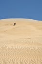 Sand Dunes - Te Paki Stream, New Zealand Royalty Free Stock Photo