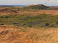 Sand dunes of Texel