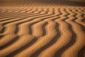 Sand dunes texture with rippled patterns and shadows Royalty Free Stock Photo