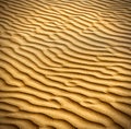 Sand and dunes of the Thar Desert.