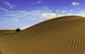 Sand Dunes Of Thar Royalty Free Stock Photo