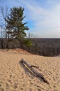 Sand dunes with traces of people on a sand path down. Indiana Dunes National Lakeshore, USA Royalty Free Stock Photo