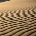 Sand dunes under low sunlight create a series of parallel shadowed Royalty Free Stock Photo