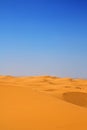 Sand dunes vertical Royalty Free Stock Photo