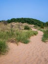 Sand dunes at West Beach Dune Succession Trail, Indiana Dunes National Park lake shore in Summer Royalty Free Stock Photo