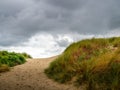 Sand dunes with wild coastal grasses on the Beach at Instow on the North Coast of Devon, England, UK. Path to the sea Royalty Free Stock Photo